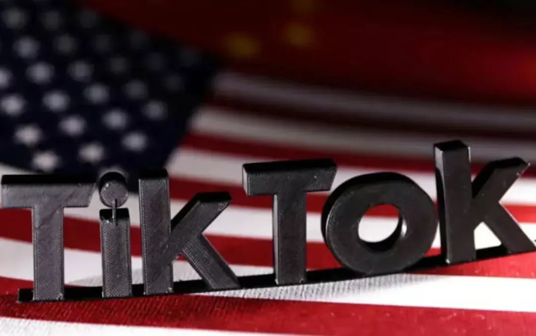 TikTok带货视频播放量超500万,便携吹叶机在美销量飙升