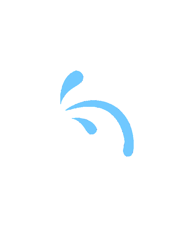 官宣！天盛跨境正式成为亚马逊TSPN服务商！！！