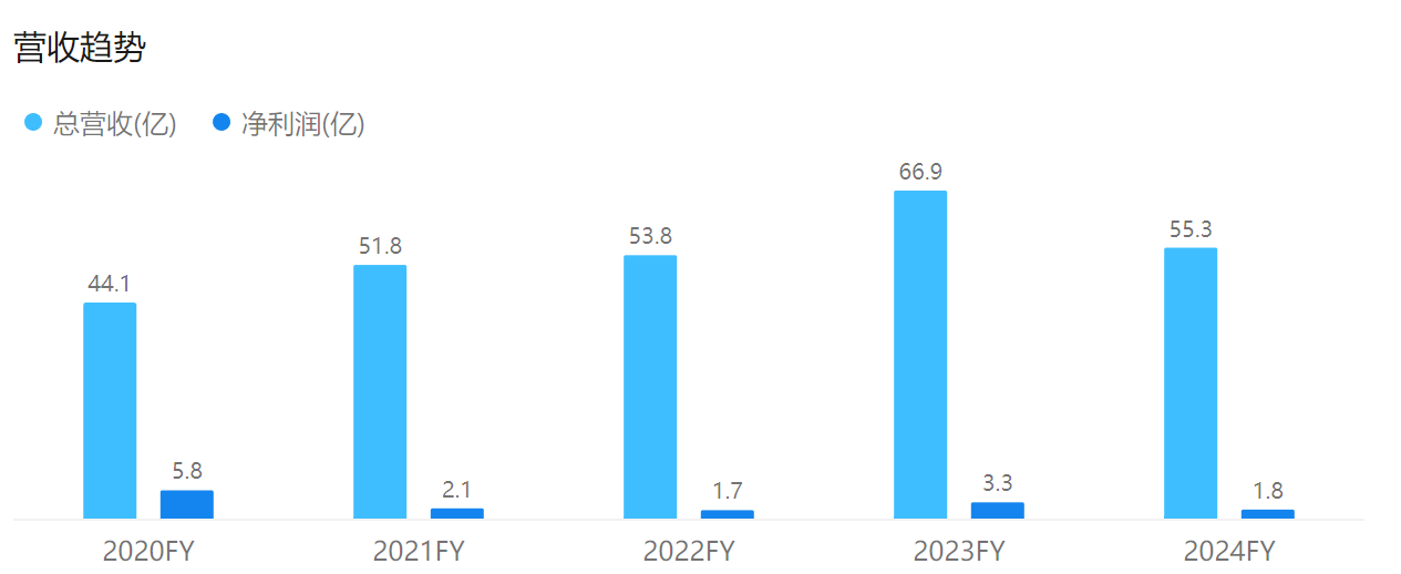 厦门吉宏股份2024年净利润大跌47%，跨境电商业务遇挑战