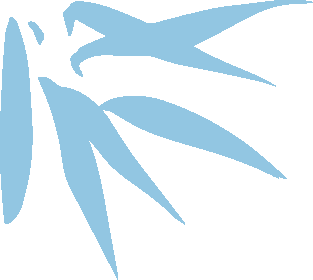 紧急提醒!亚马逊卖家重复违规恐封号,自救指南来了