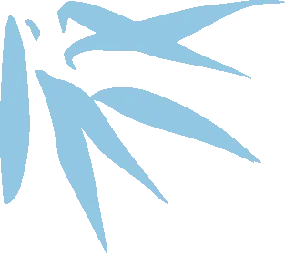 紧急提醒！亚马逊卖家重复违规恐封号，自救指南来了