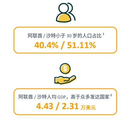 亚马逊中东站点怎么样?