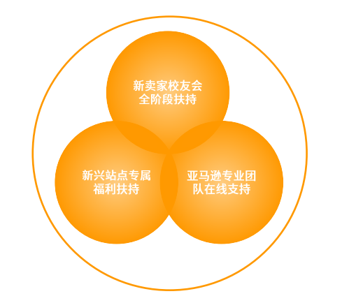 亚马逊中东站点怎么样？