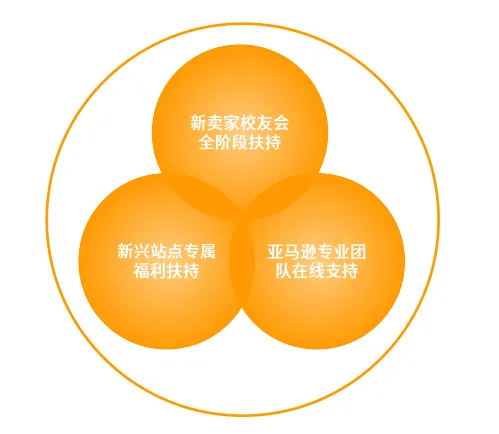亚马逊中东站点怎么样?