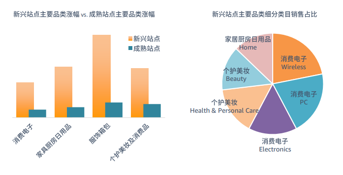 亚马逊中东站点怎么样？