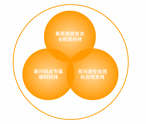 亚马逊印度站点怎么样?