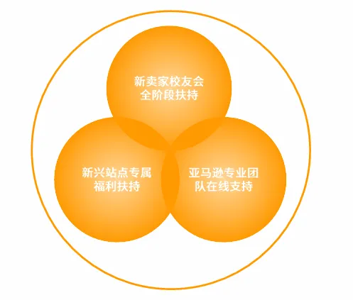 亚马逊印度站点怎么样?