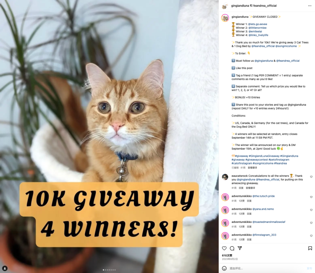 从德国出发，这个来自河南的品牌做成了“线上宜家”