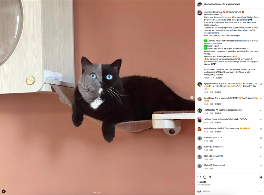 从德国出发，这个来自河南的品牌做成了“线上宜家”