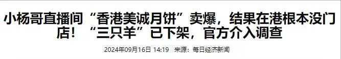 小杨哥携三只羊,强势回归!