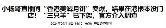 小杨哥携三只羊,强势回归!