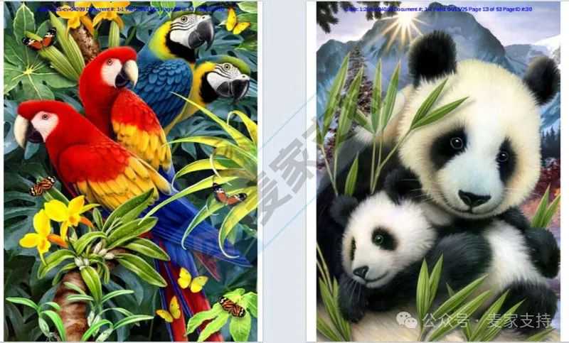 25-cv-04099，野生动物大师数十张版权TRO旧案新发，当心冻结！