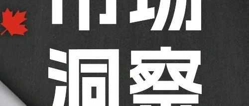 深度选品：这是今年老外在庭院中必买的硬通货！