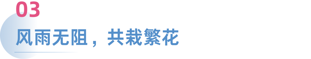【客户成功经理】超越自我：揭秘连续三年获得‘年度优秀运营经理’的管理秘籍 |Callnovo