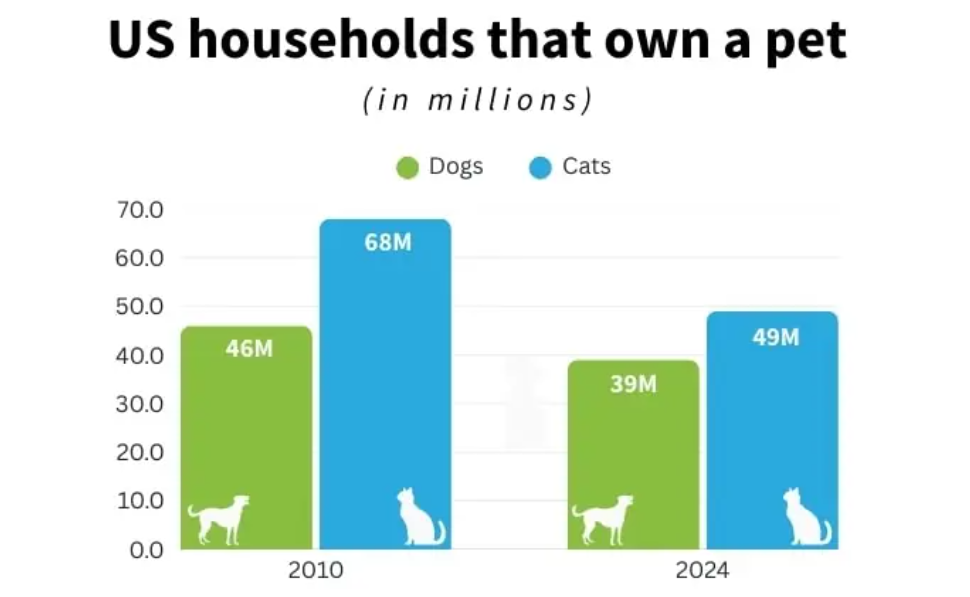 美国Z世代宠物热情高涨，助推养宠家庭破9400万户