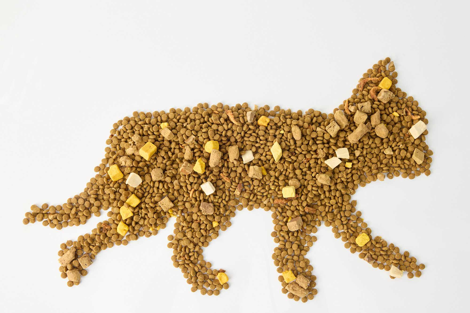 比利时宠物护理市场规模达13.6亿欧元，天然宠物食品成新趋势