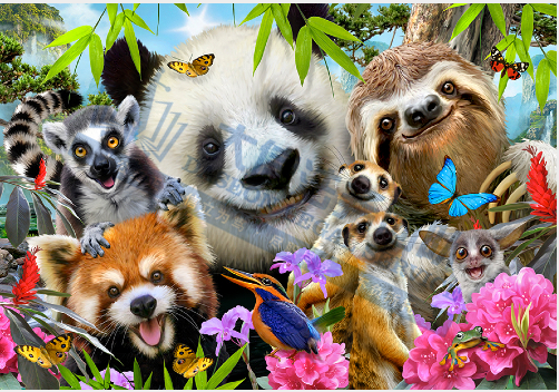 17家店已冻结！31个神秘版权终于曝光！Keith发案简直没完没了！27张版权图极易踩雷，上架就被告！真不能再卖了！