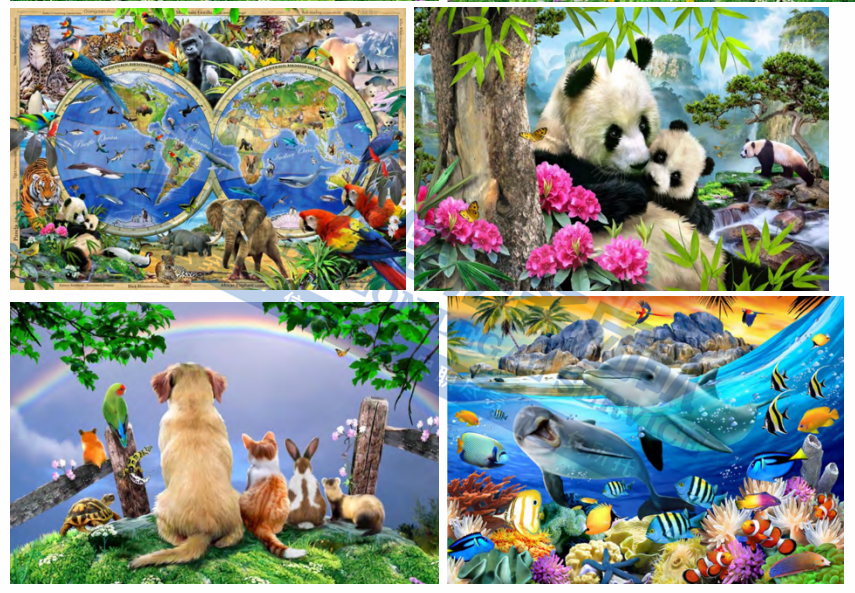 17家店已冻结！31个神秘版权终于曝光！Keith发案简直没完没了！27张版权图极易踩雷，上架就被告！真不能再卖了！