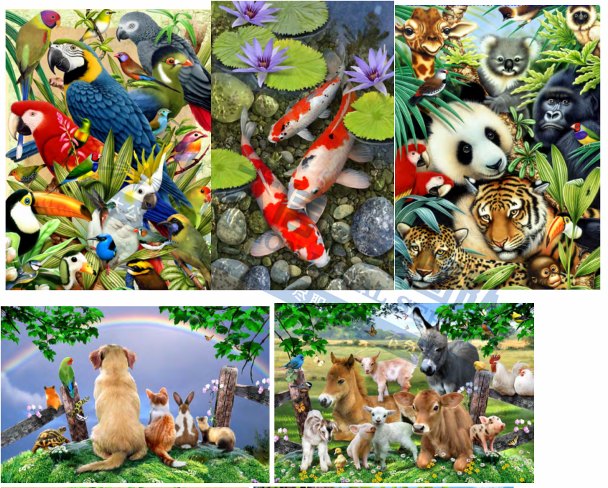 17家店已冻结！31个神秘版权终于曝光！Keith发案简直没完没了！27张版权图极易踩雷，上架就被告！真不能再卖了！