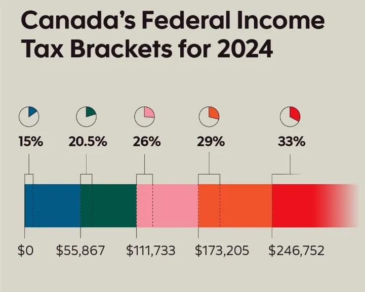 加拿大个人所得税干货速递:哪些人需要报税?| Who Should File the Personal Income Tax in Canada?