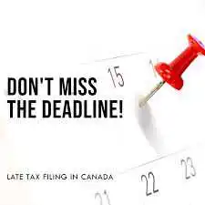 加拿大个人所得税干货速递:哪些人需要报税?| Who Should File the Personal Income Tax in Canada?