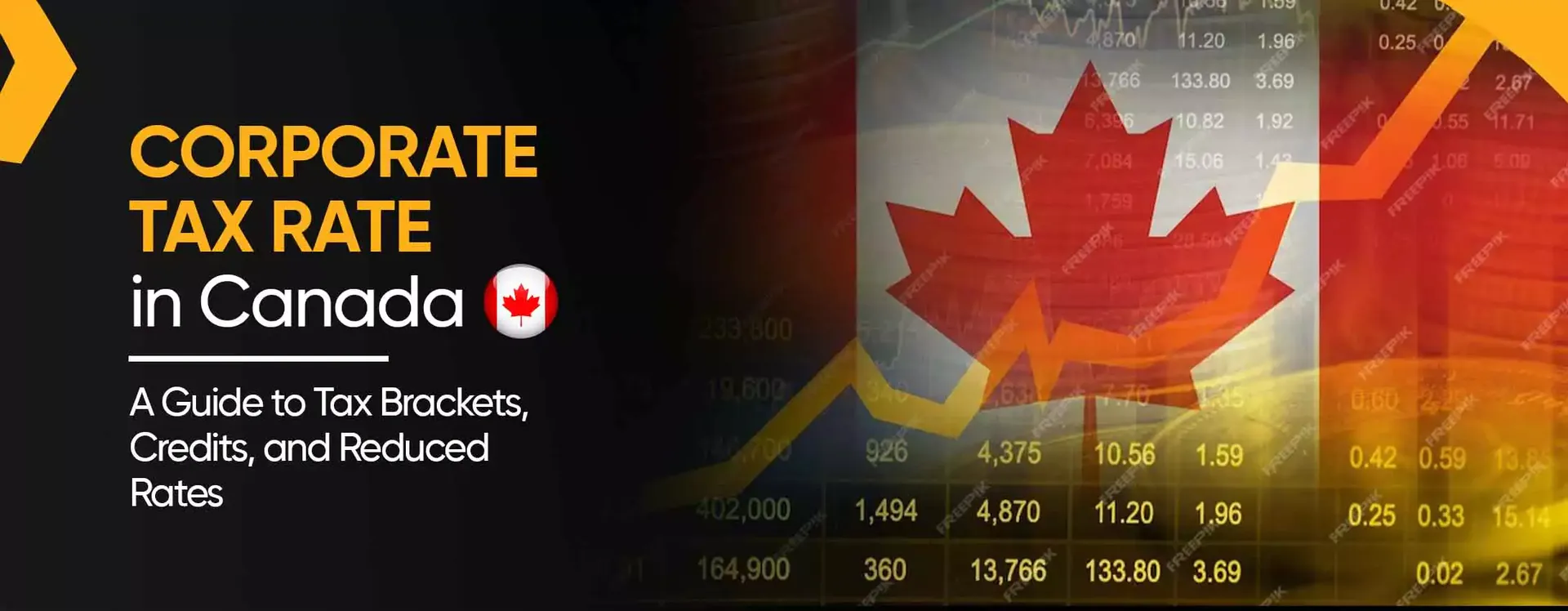 加拿大税务申报终极指南:企业所得税信息汇总 | The Ultimate Guide to Canadian Tax Filing: T2 Explained