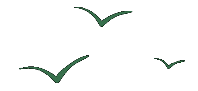 Keith发疯，卖家崩溃！一天狂发4案，14张全新版权图慎用啊！！！上架秒变被告，卖家要谨慎选品呀~~~