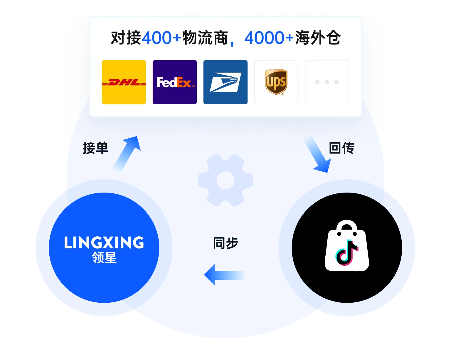 领星ERP TikTok利润分析、广告管理等功能上线!助力TikTok业务增长!