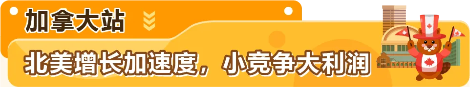 90%卖家都在问！亚马逊全球站点该咋布局？经理一文讲透！