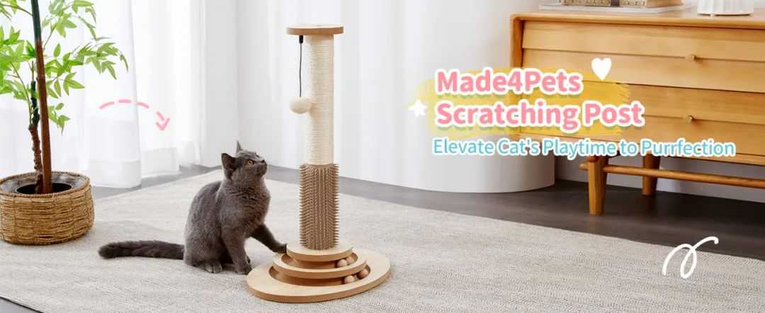 跨境卖家纵横全球：解锁定制化、系统性、高时效、超精准的制胜之道