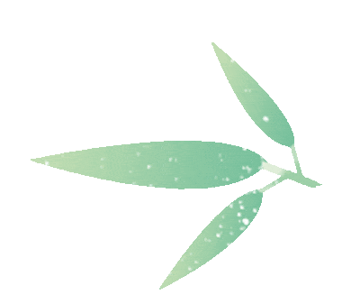 邀请函 |满天星诚邀您参第十届深圳国际跨境电商贸易博览会