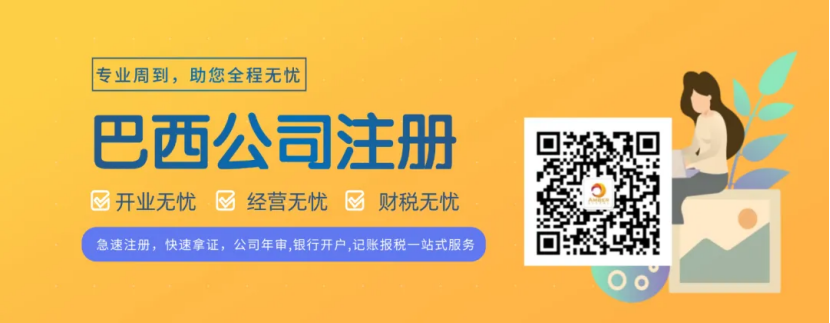 在巴西注册公司，法人有哪些权力？