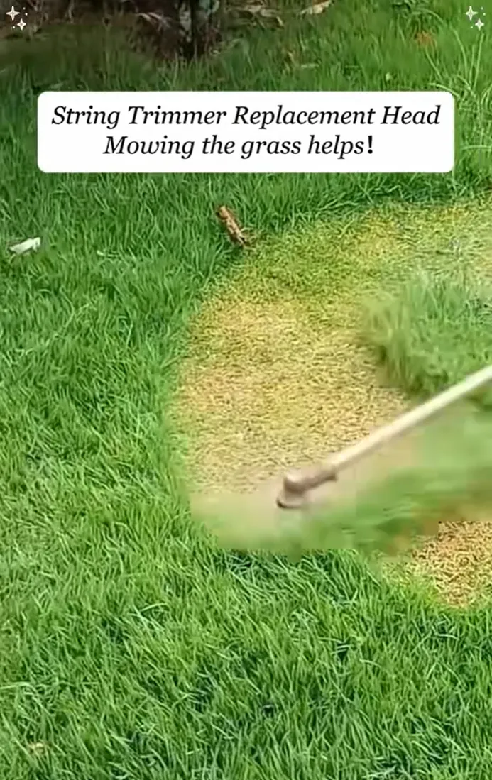 上架20天卖34800单!TikTok这款园艺工具彻底爆了