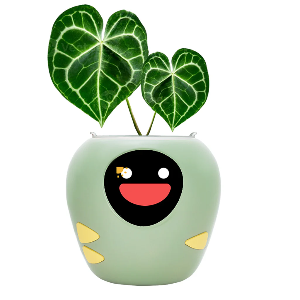 这些在小红薯热推的跨境商品,在海外真的卖得好?