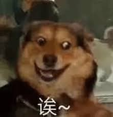 这些在小红薯热推的跨境商品,在海外真的卖得好?