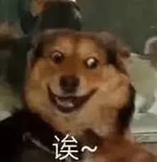 这些在小红薯热推的跨境商品,在海外真的卖得好?