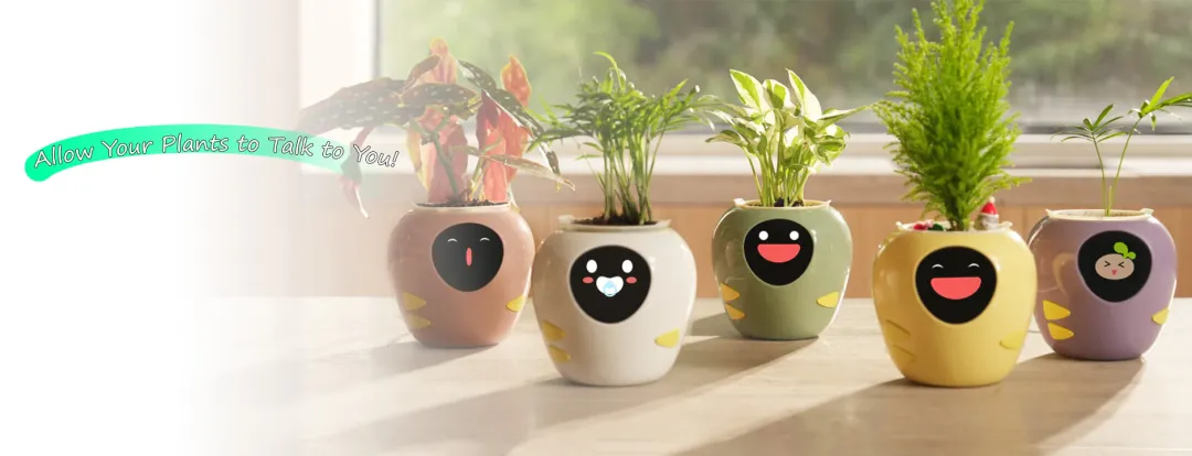 这些在小红薯热推的跨境商品,在海外真的卖得好?