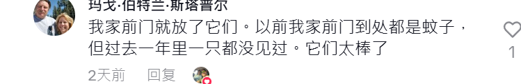 这款驱蚊神器靠“抽象”,冲进TikTok 热销榜一