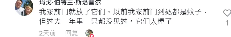 这款驱蚊神器靠“抽象”,冲进TikTok 热销榜一