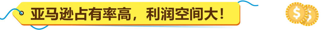 新卖家首年就赚300万?亚马逊美国站旁的“爆单金矿”藏不住了