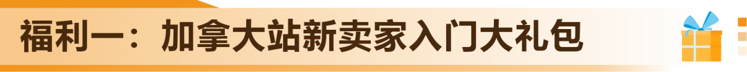 新卖家首年就赚300万?亚马逊美国站旁的“爆单金矿”藏不住了