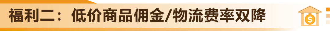 新卖家首年就赚300万？亚马逊美国站旁的“爆单金矿”藏不住了