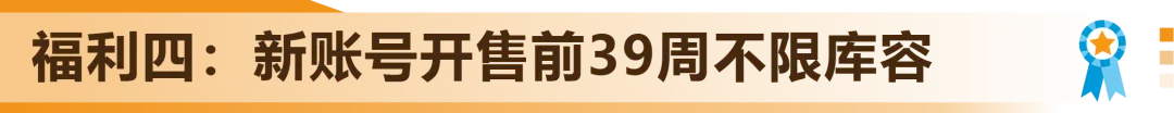 新卖家首年就赚300万?亚马逊美国站旁的“爆单金矿”藏不住了