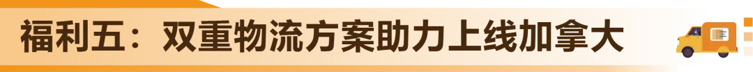 新卖家首年就赚300万?亚马逊美国站旁的“爆单金矿”藏不住了