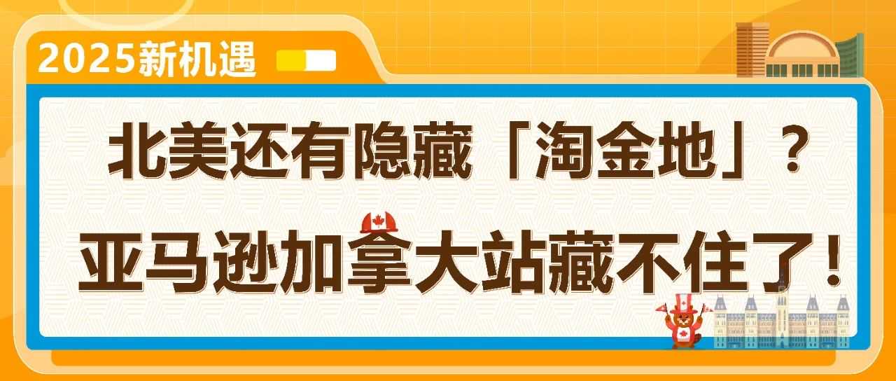 新卖家首年就赚300万?亚马逊美国站旁的“爆单金矿”藏不住了
