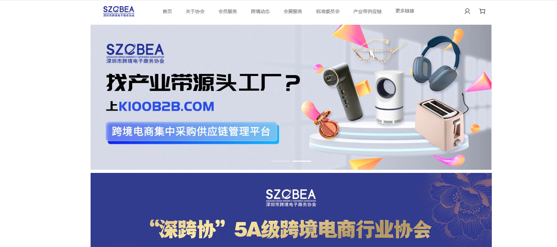 深圳市跨境电子商务协会