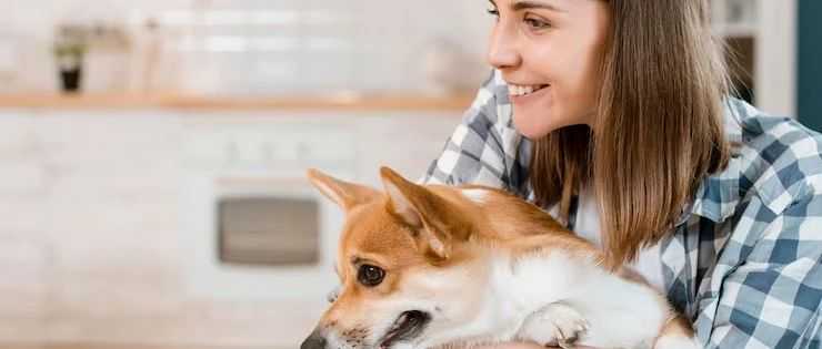 仅靠3款宠物用品爆卖2.7万单，墨西哥TikTok又一波红利来了