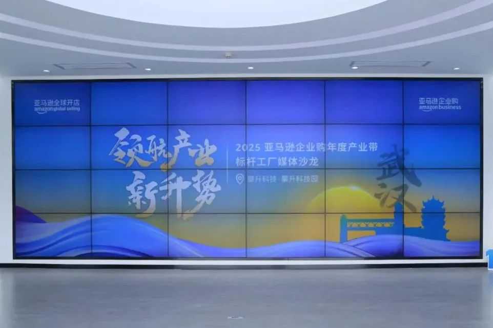 武汉光电企业亚马逊逆袭:3次试水终月均增长94%,4年海外用户超50%
