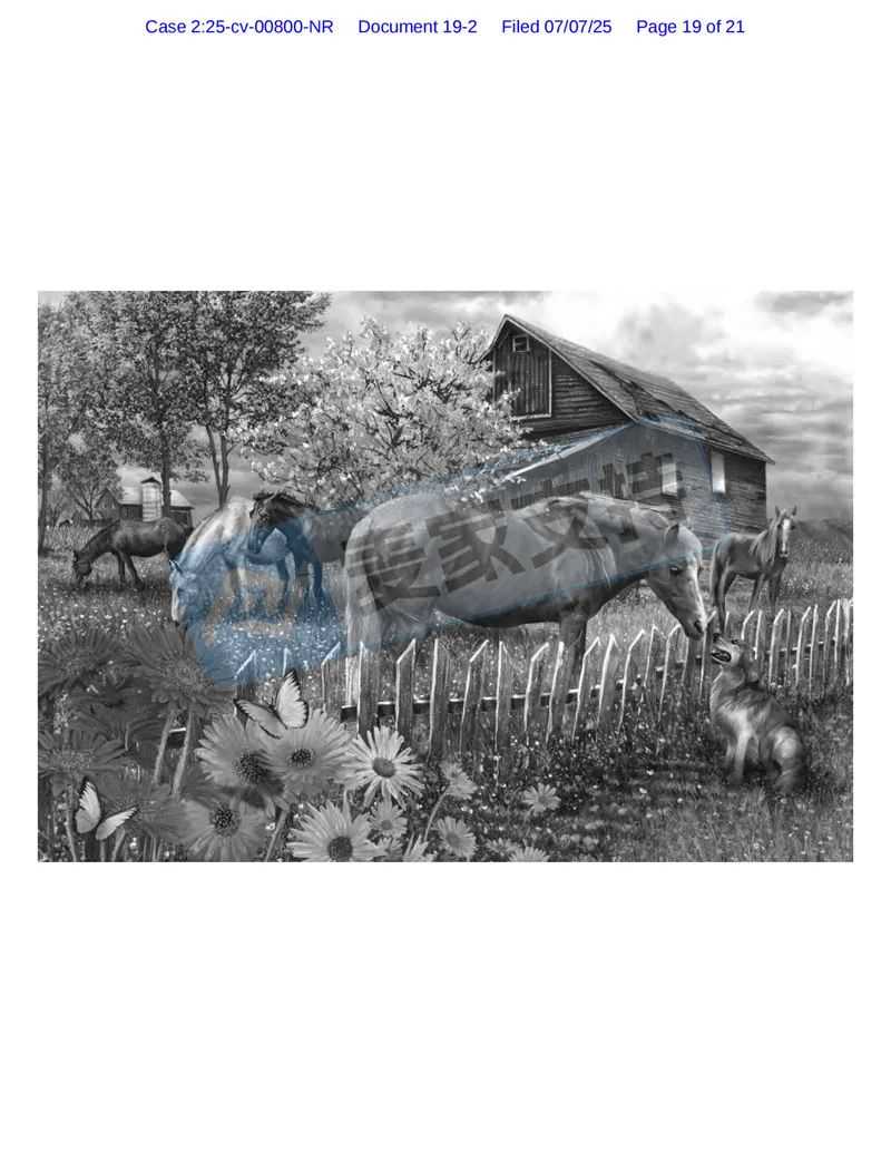 25-cv-00800，乡村题材版权申请维权！申请TRO冻结54店