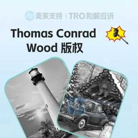 25-cv-00800，乡村题材版权申请维权！申请TRO冻结54店